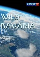 Дикая природа Баварии/Wild Bavaria