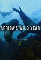 Год в дикой Африке/Africas Wild Year