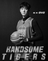 Красивые тигры/Handsome Tigers