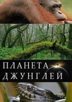 Планета джунглей/Jungle Planet