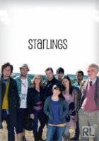 Старлинги/Starlings