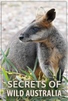 Тайны дикой природы Австралии/Secrets of Wild Australia