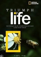 Триумф Жизни/Triumph of Life