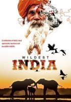 В дебрях Индии/Wildest India
