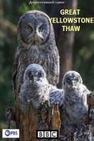 Великая американская оттепель/Great Yellowstone Thaw