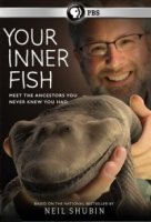 Внутренняя рыба/Your Inner Fish