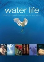 Водная жизнь/Water Life