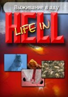 Выживание в аду/Life in Hell
