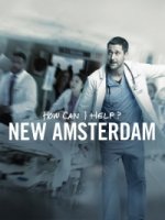 Новый Амстердам (2018)/New Amsterdam 1 сезон