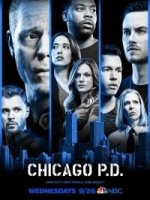 Полиция Чикаго/Chicago PD 8 сезон