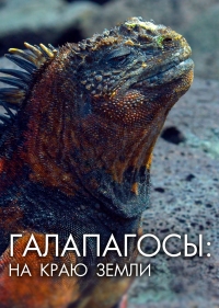 Галапагосы: На краю земли/Galapagos: The Edge of the World