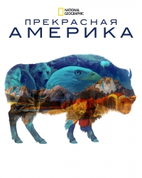 Прекрасная Америка/America the Beautiful