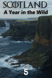 Шотландия: дикий год/Scotland: A Wild Year