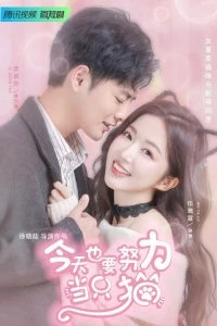 Моя любимая кошечка/My Cat-astrophic Lover