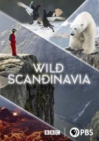 Дикая природа Скандинавии (2023)/Wild Scandinavia