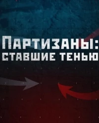 Партизаны ставшие тенью