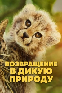 Возвращение в дикую природу/Born to be Wild