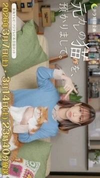 Кот моего бывшего/Looking After My Ex-Boyfriend's Cat